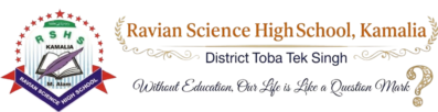 ravian logo transparent