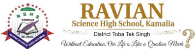 website logo